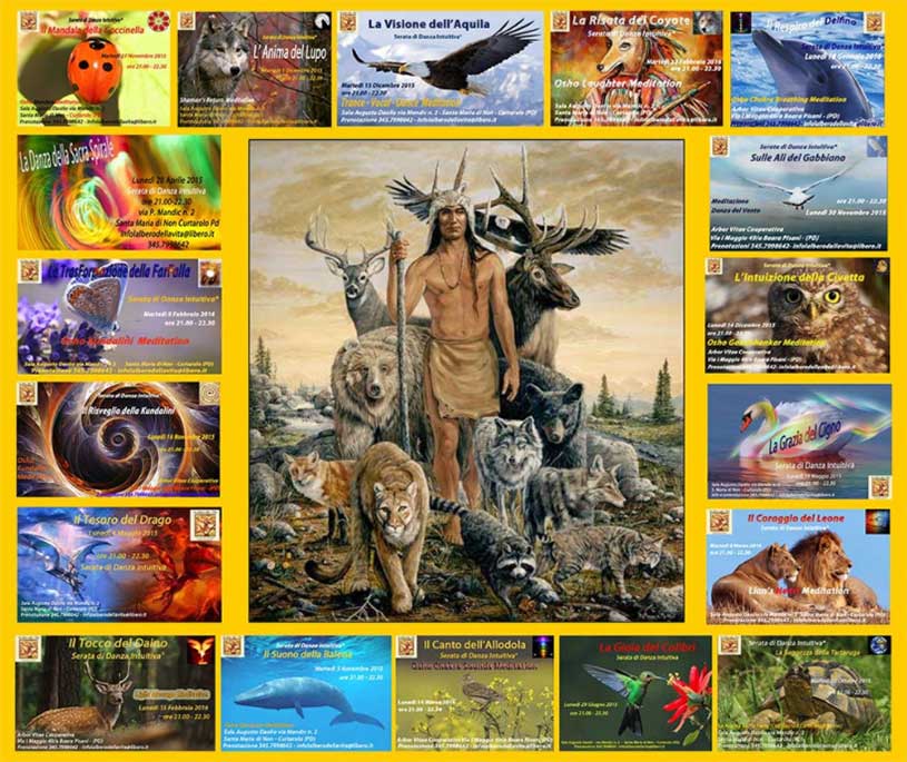volantino illustrato percorso meditativo con animale guida