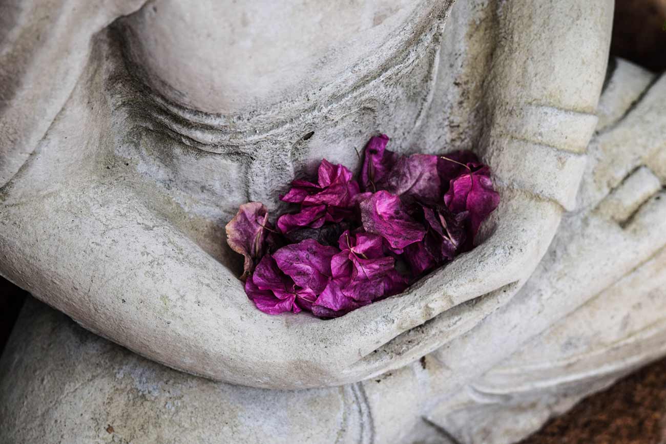 statua con petali viola statua con petali viola in braccio