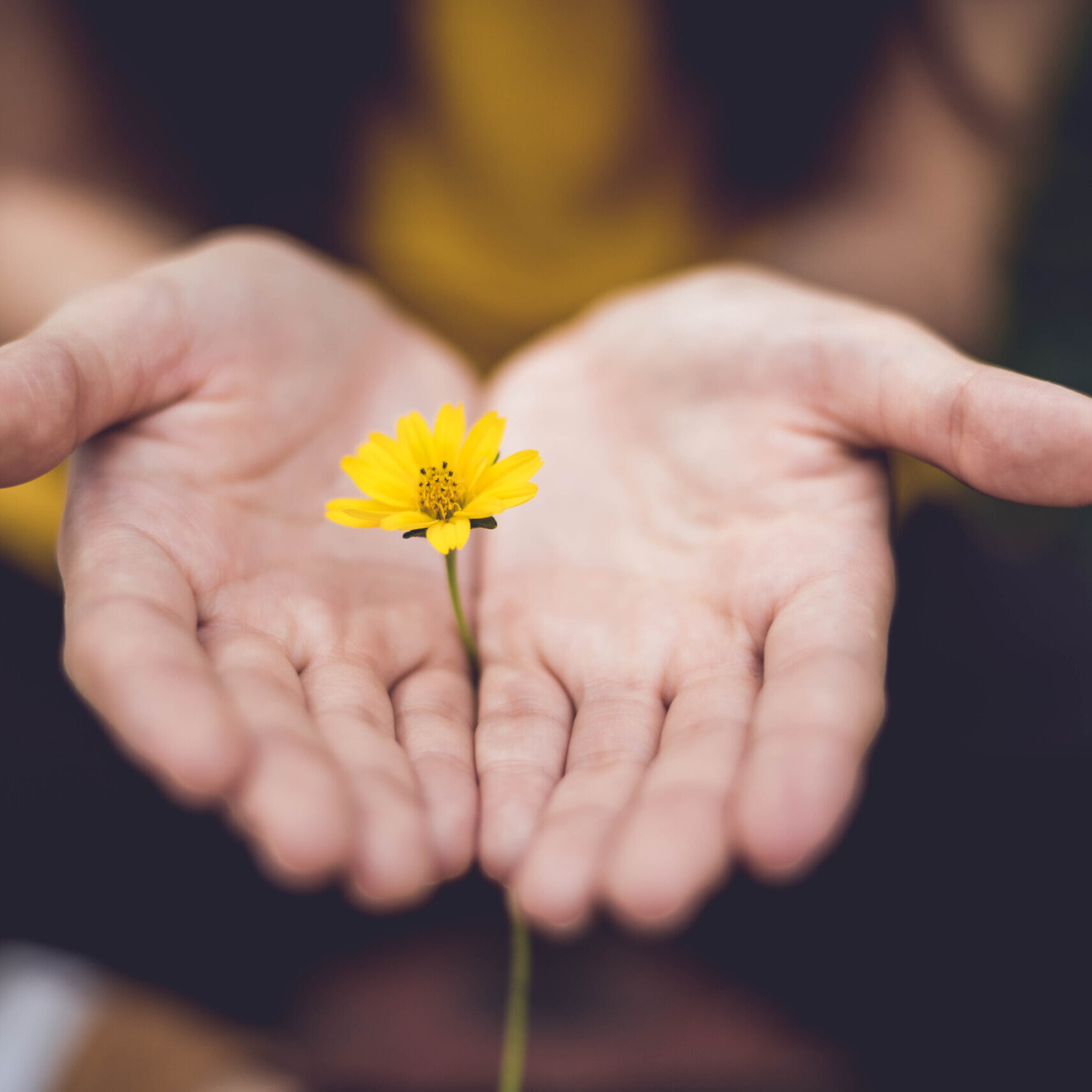 immagine-copertina MEDICO MINDFULNESS2