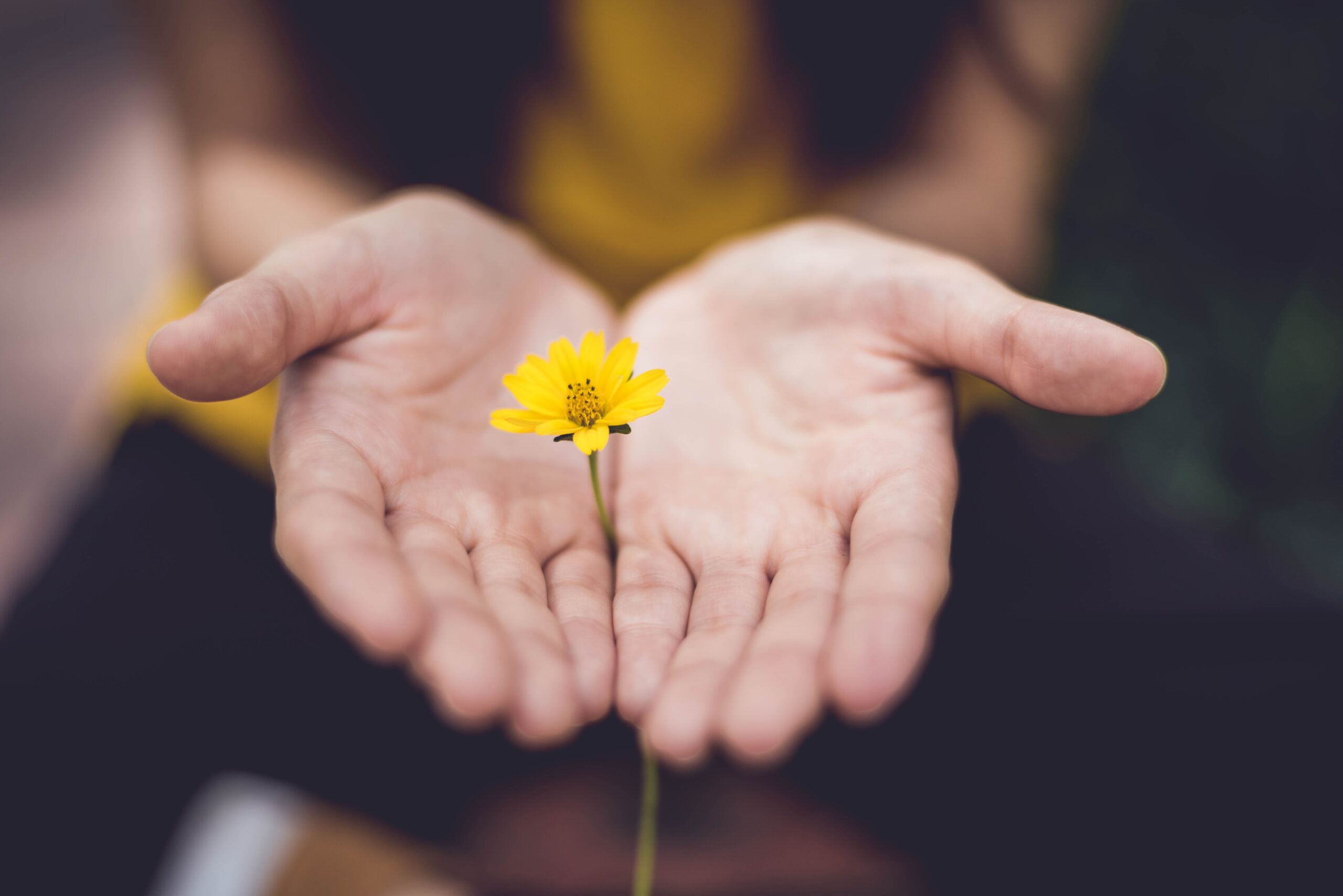 immagine-copertina MEDICO MINDFULNESS2